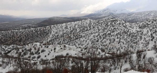 هواشناسی 1402/12/12؛ سامانه بارشی فردا وارد کشور می شود/ بارش برف و باران در اکثر مناطق ایران