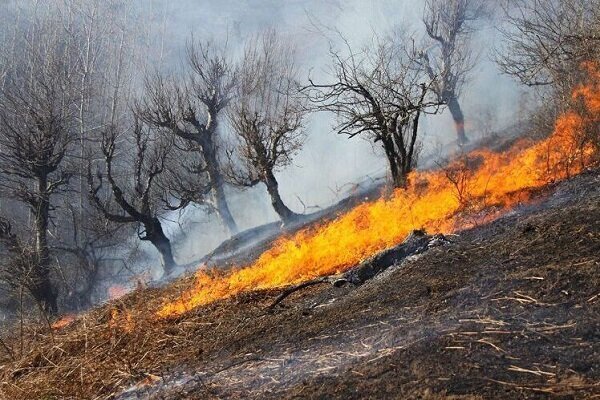 مهار آتش‌سوزی های جنگلی در غرب و جنوب غرب کشور - خبرگزاری اسمارت تیم | اخبار ایران و جهان