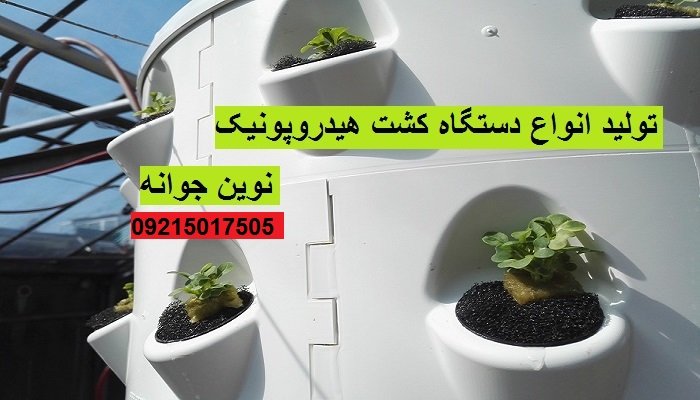 راهنمای کشت عمودی هیدروپونیک؛ مزایا و قیمت