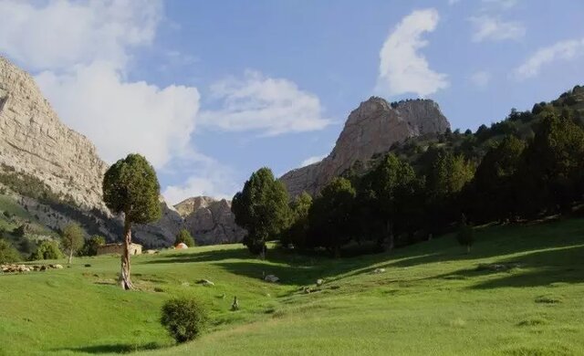 پارک ملی تندوره گنجینه ای طبیعی در ایران