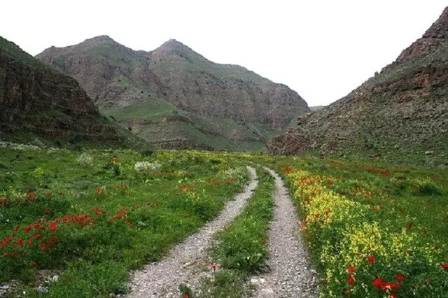 پارک ملی تندوره گنجینه ای طبیعی در ایران