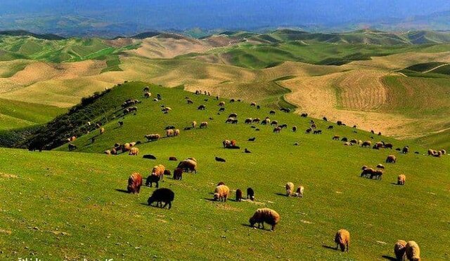 پارک ملی تندوره گنجینه ای طبیعی در ایران