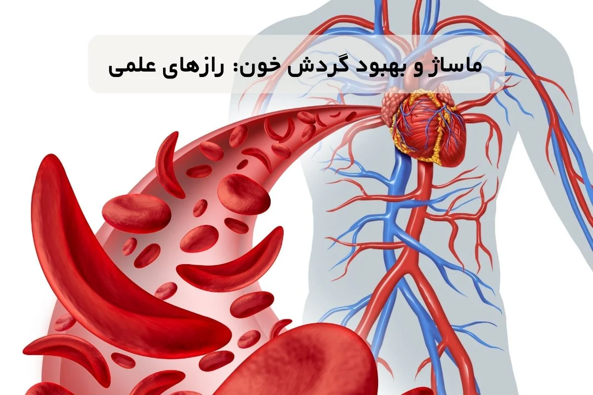 ماساژ و بهبود گردش خون: رازهای علمی