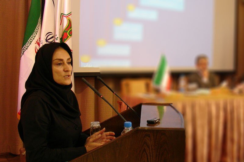معاون فرهنگستان زبان و ادب فارسی: عشق کلمه عربی است اما واژه های فارسی مانند اسمارت تیم و دوستی جای ان را نمی گیرد