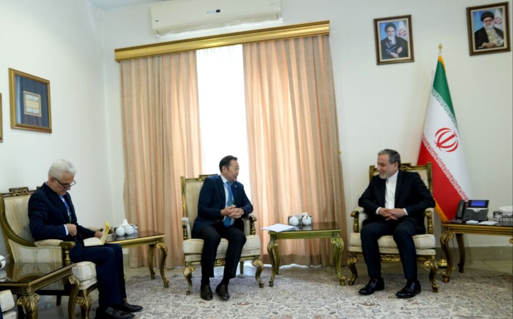 دیدار دبیرکل «سیکا» با عراقچی در تهران